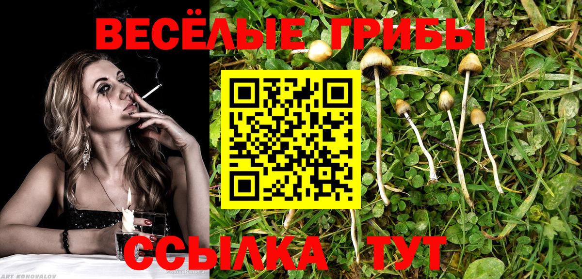 Галлюциногенные грибы Psilocybe  Галлюциногенные грибы мухоморы  Вход с VPN  продажа наркотиков  Орехово-Зуево 